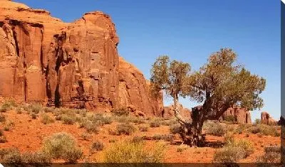 Постер Пустыня (Desert) №4