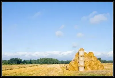 Картина Стог сена на поле (Haystack on the field)