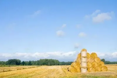 Плакат Стог сена на поле (Haystack on the field)