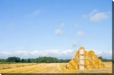 Постер Стог сена на поле (Haystack on the field)