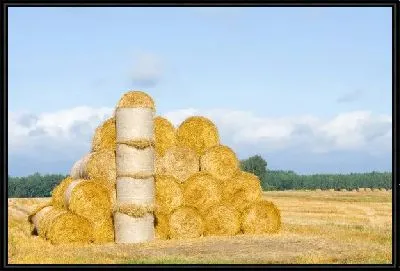 Картина Стог сена на поле (Haystack on the field) №2