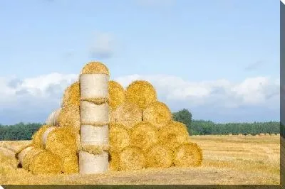 Постер Стог сена на поле (Haystack on the field) №2