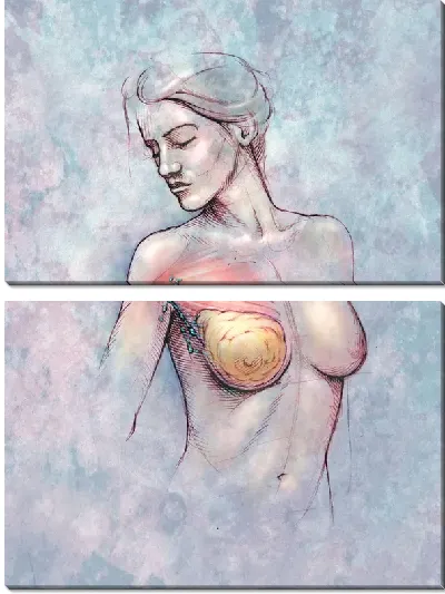 Модульная картина Анатомическое строение (Anatomical structure)