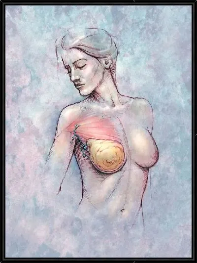 Картина Анатомическое строение (Anatomical structure)