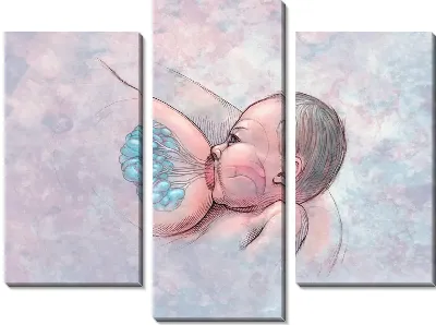 Модульная картина Анатомическое строение (Anatomical structure) №2