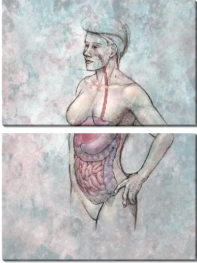 Модульная картина Анатомическое строение (Anatomical structure) №3