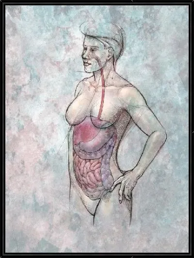 Картина Анатомическое строение (Anatomical structure) №3