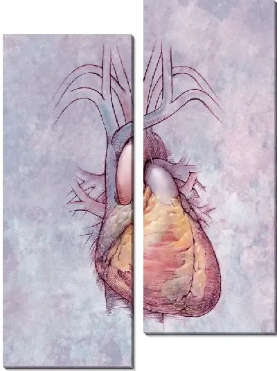 Модульная картина Сердце (Heart) №2