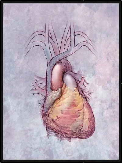 Картина Сердце (Heart) №2