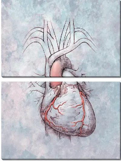 Модульная картина Сердце (Heart) №3