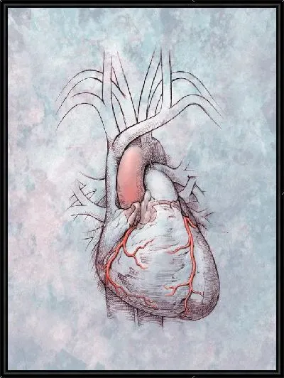 Картина Сердце (Heart) №3