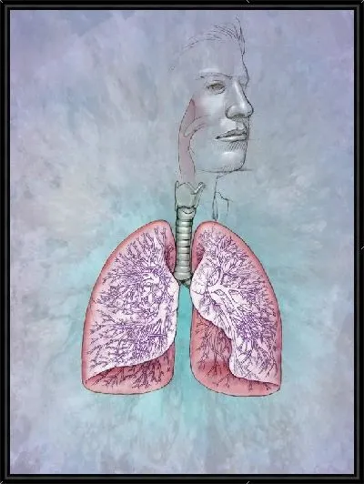 Картина Легкие (Lungs)
