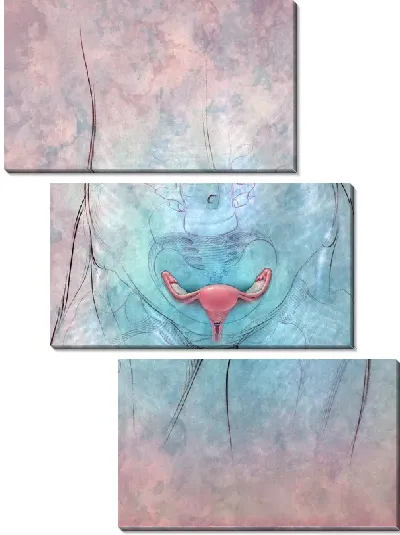 Модульная картина Анатомическое строение (Anatomical structure) №5