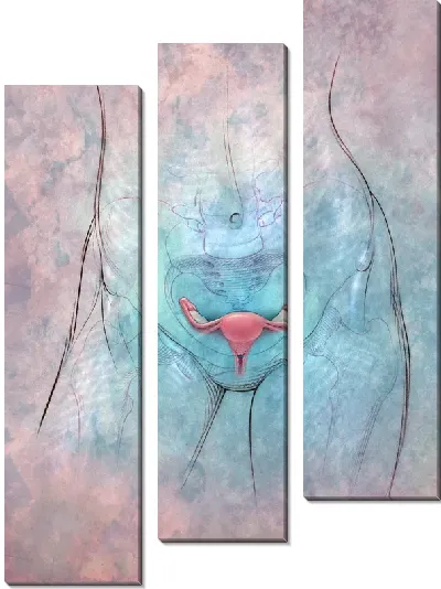 Модульная картина Анатомическое строение (Anatomical structure) №5