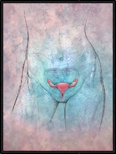 Картина Анатомическое строение (Anatomical structure) №5