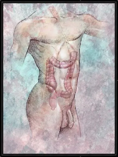 Картина Анатомическое строение (Anatomical structure) №6