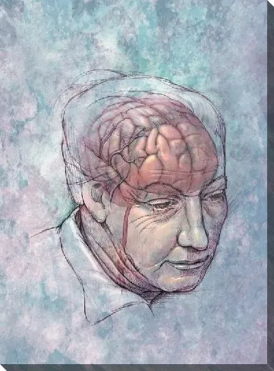 Постер Мозг (Brain)