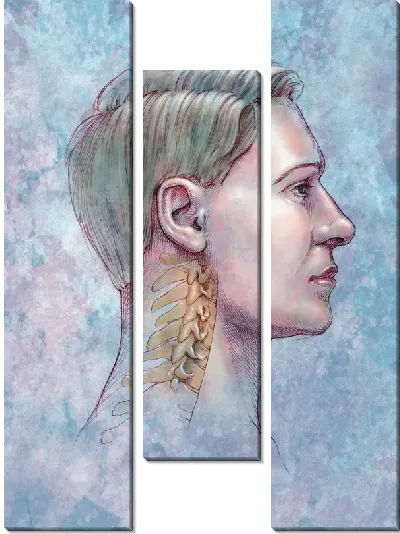Модульная картина Анатомическое строение (Anatomical structure) №10