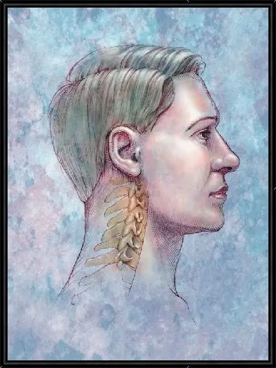 Картина Анатомическое строение (Anatomical structure) №10