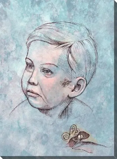Постер Внутренне ухо (The inner ear)