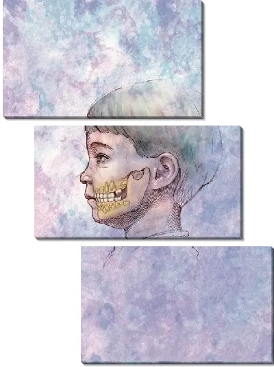 Модульная картина Челюсть (Челюсть)