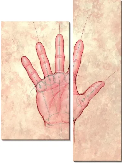 Модульная картина Ладонь (Palm)
