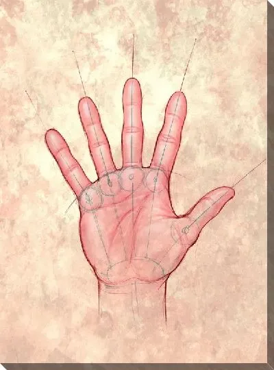 Постер Ладонь (Palm)