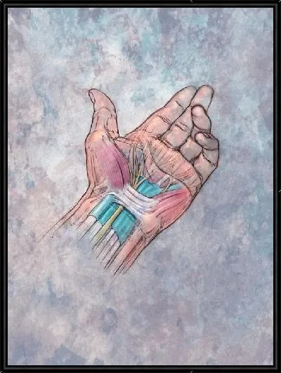 Картина Строение руки (The structure of the hand)
