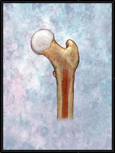 Картина Кость (Bone)