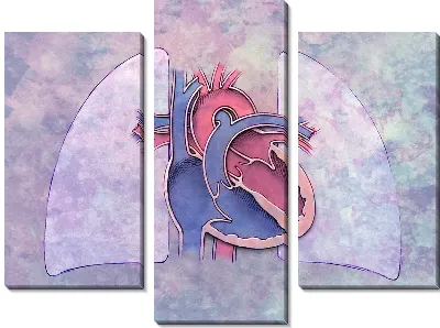 Модульная картина Сердце (Heart) №4