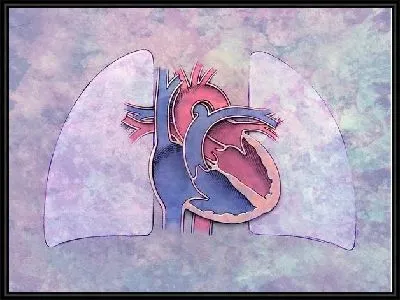 Картина Сердце (Heart) №4