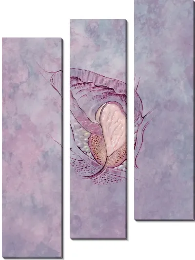 Модульная картина Предстательная железа (Prostate)