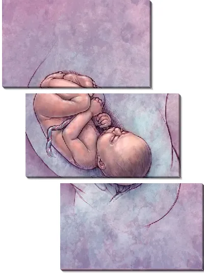 Модульная картина Беременность (Pregnancy)