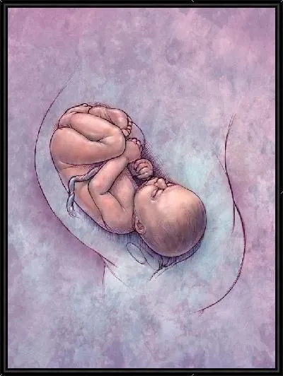 Картина Беременность (Pregnancy)