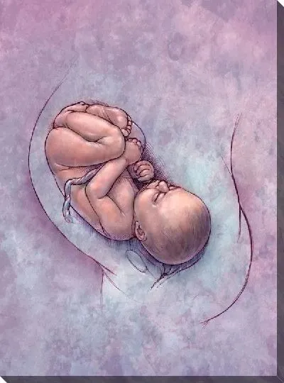 Постер Беременность (Pregnancy)