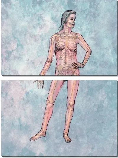 Модульная картина Скелет (Skeleton) №2