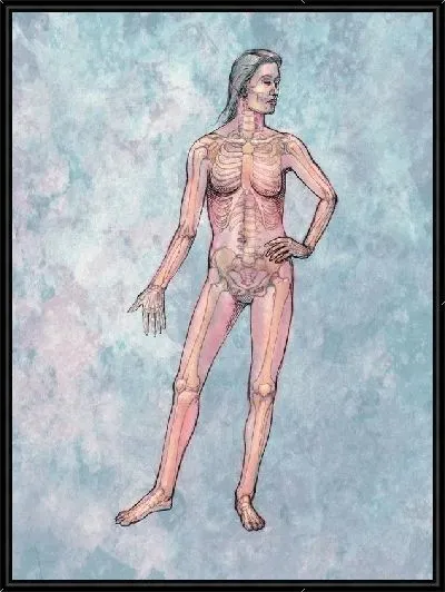 Картина Скелет (Skeleton) №2