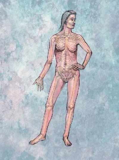 Плакат Скелет (Skeleton) №2