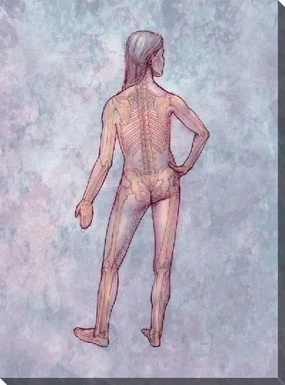 Постер Скелет (Skeleton) №3