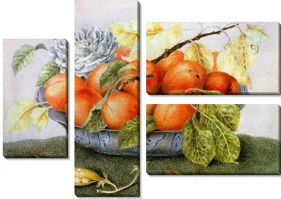 Ваза с абрикосами (Vase with apricots)