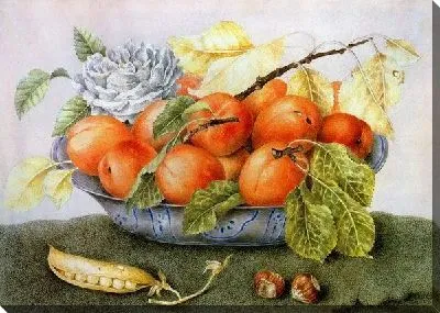 Ваза с абрикосами (Vase with apricots)