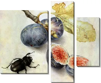 Картина Жук рядом с фруктами (Beetle next to fruit)