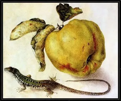 Яблока и ящерица (Apple and lizard)