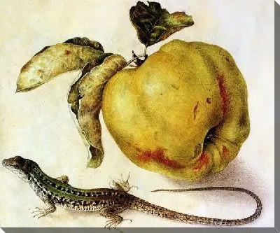 Яблока и ящерица (Apple and lizard)