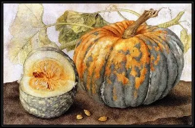 Спелая тыква (Ripe pumpkin)