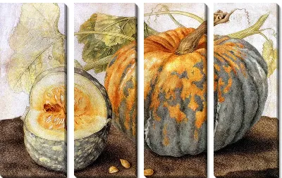 Спелая тыква (Ripe pumpkin)