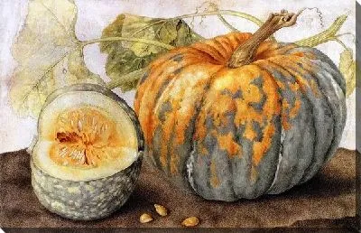 Спелая тыква (Ripe pumpkin)