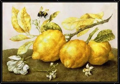 Лимоны (Lemons)