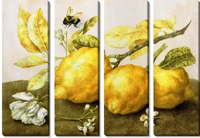 Лимоны (Lemons)