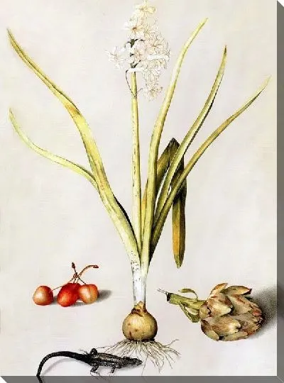 Картина Цветок и ящерица (Flower and Lizard)